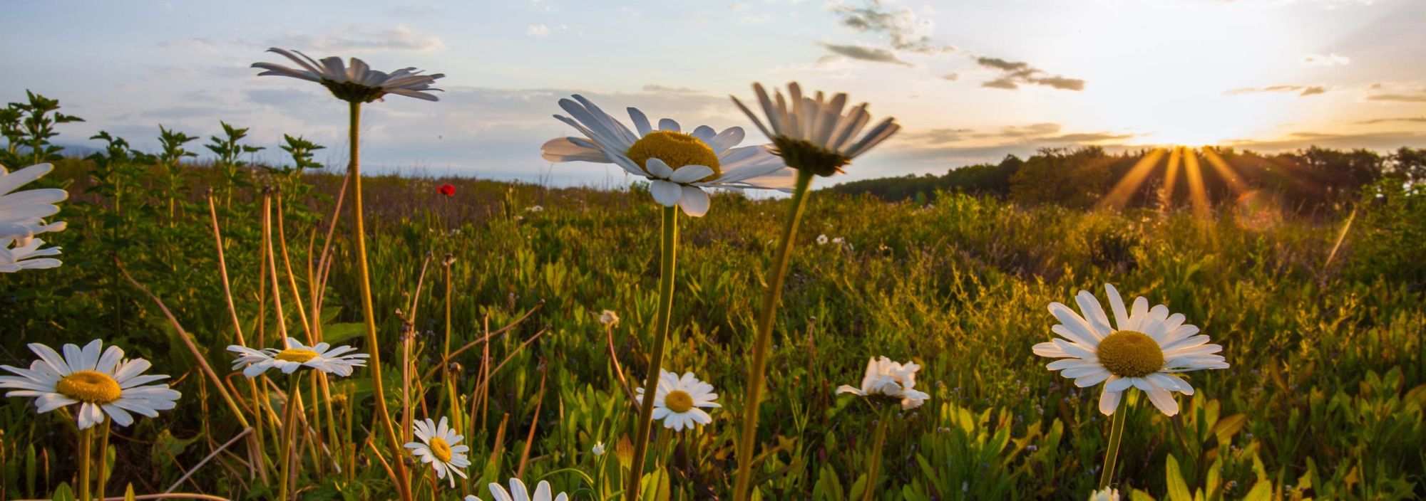 s' Kännele Eventlocation & Ferienwohnungen im Odenwald